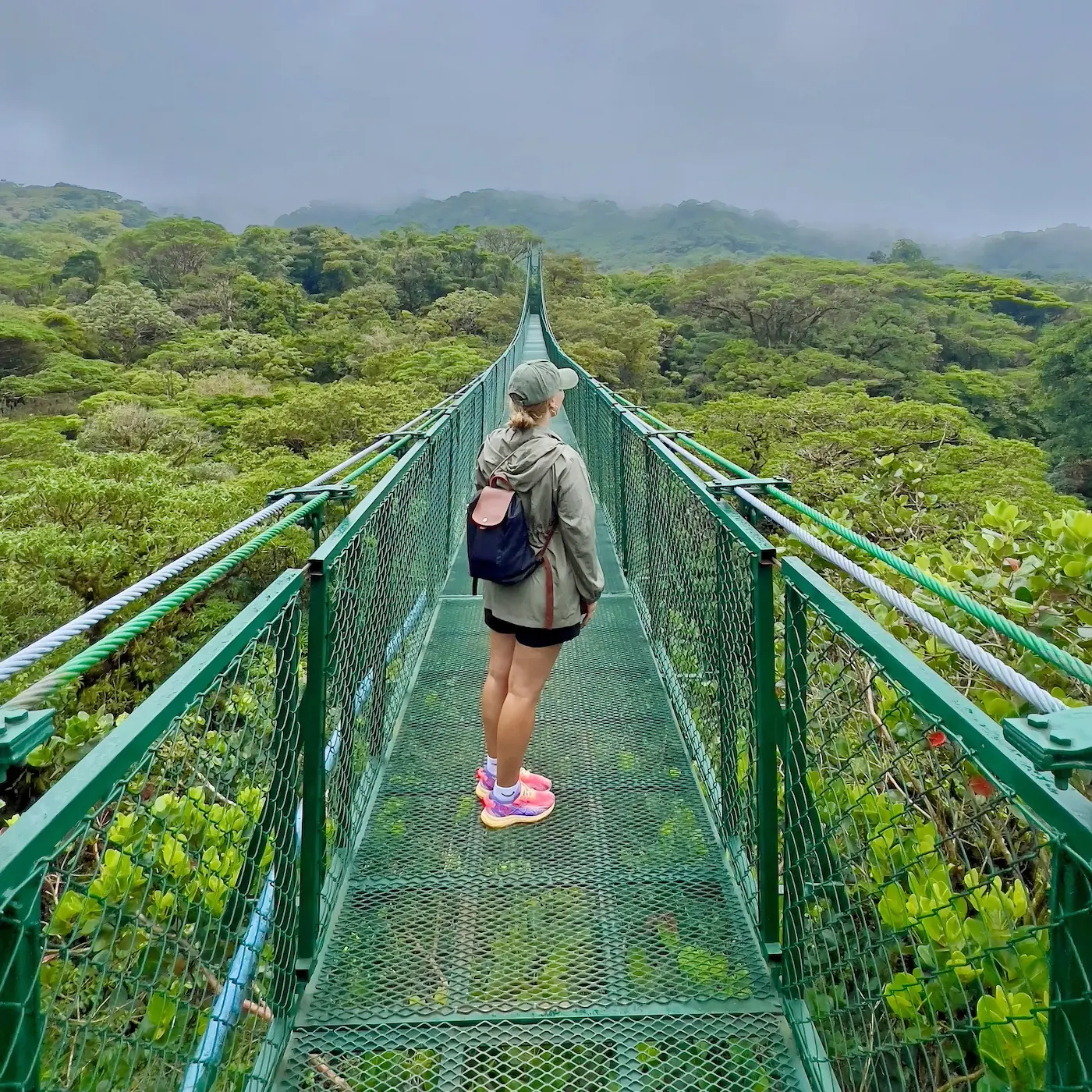 Hanging bridge above the rainforest in Sarapiquí