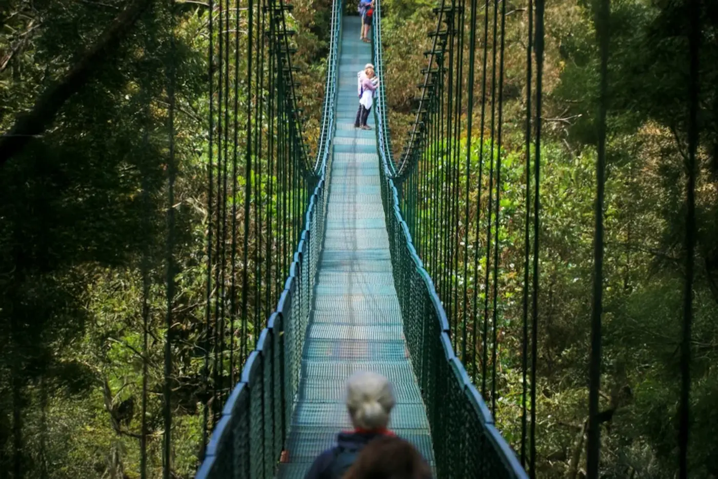 390-metre hanging bridge over the Sarapiquí rainforest